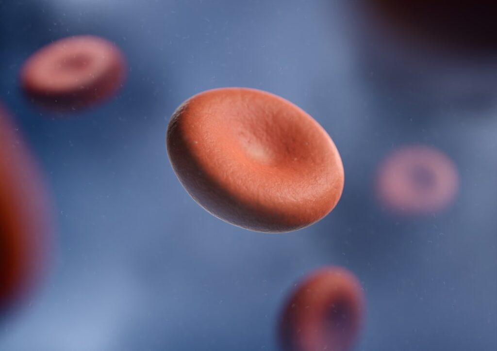 Iron Absorption and Iron Deficiency Testing Beyond Simple Hemoglobin a group of red blood cells in a vein