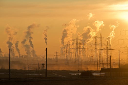 How Air Quality Affects Long-Term Lung and Brain Health Air Quality Affects