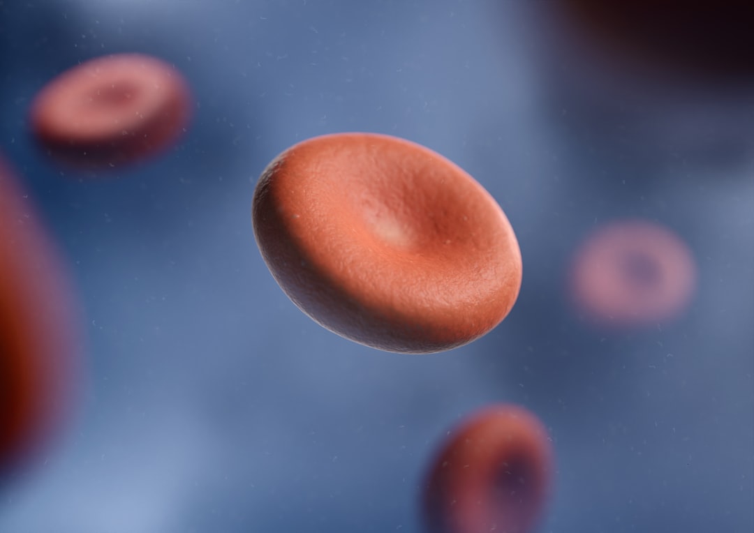 Iron Absorption and Iron Deficiency Testing Beyond Simple Hemoglobin a group of red blood cells in a vein